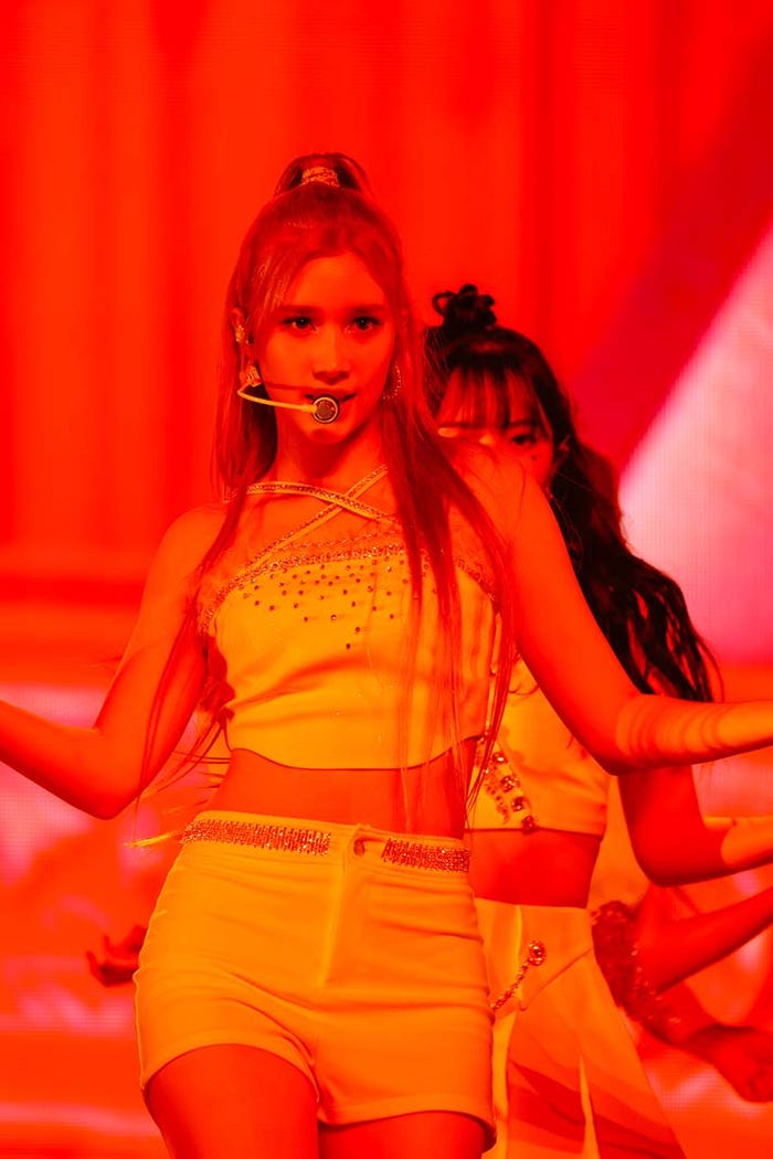 ヒュニンバヒエ/撮影:上山陽介、木村泰之(提供写真)