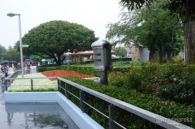 クールスポット（「グランドサーキット・レースウェイ」横）