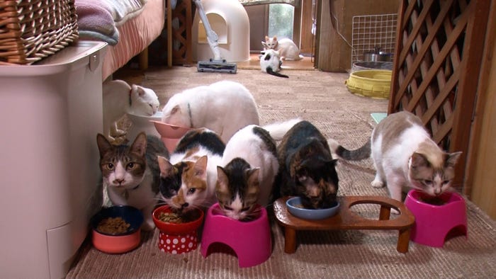 15日放送の「坂上どうぶつ王国」より(C)フジテレビ