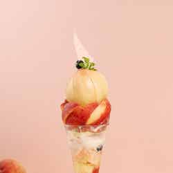 フルーツピークス 豊洲セイルパーク店/提供画像