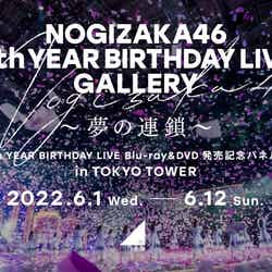 乃木坂46パネル展「NOGIZAKA46 9th YEAR BIRTHDAY LIVE GALLERY ～夢の連鎖～」（提供写真）