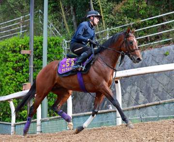 【マイラーズC】アドマイヤズーム 2歳マイル王に輝いた舞台で復活へ 爪の回復待ち充電 友道師「本当にいい感じ」