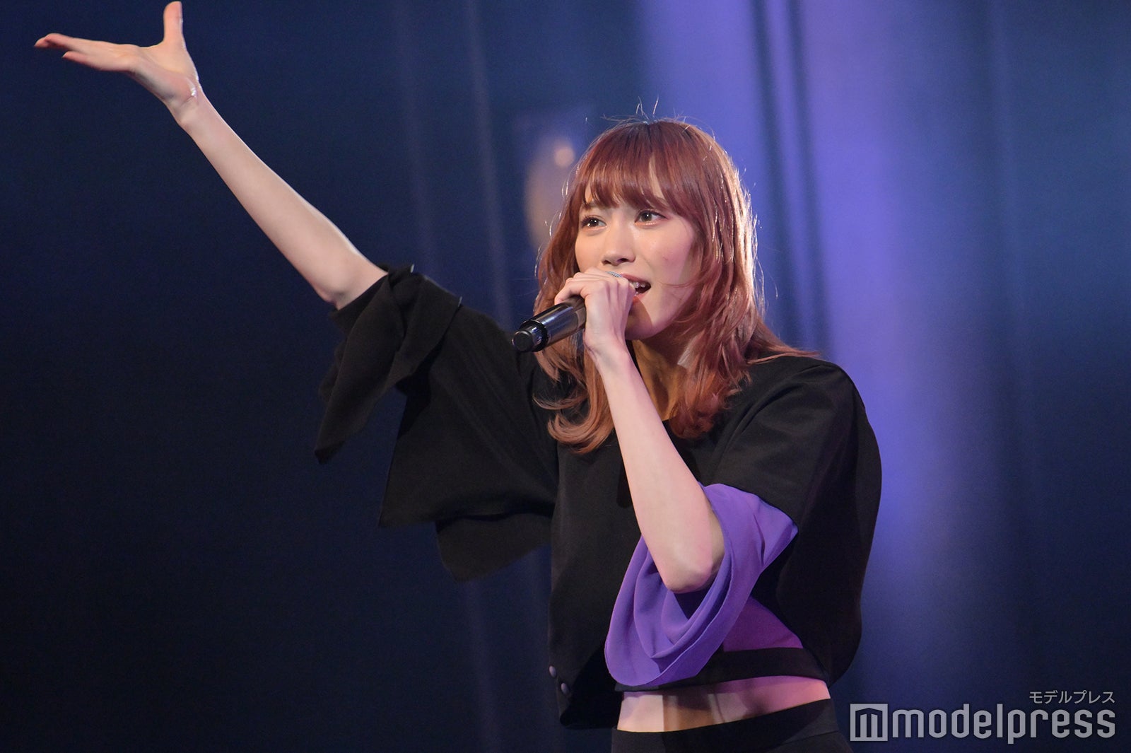 豆柴の大群 （C）モデルプレス