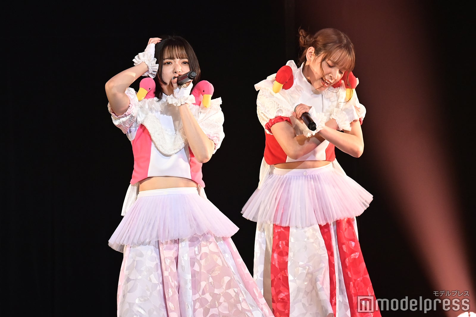 豆柴の大群（C）モデルプレス