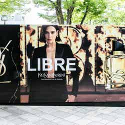「YSL LIBRE STAND」 （提供写真）