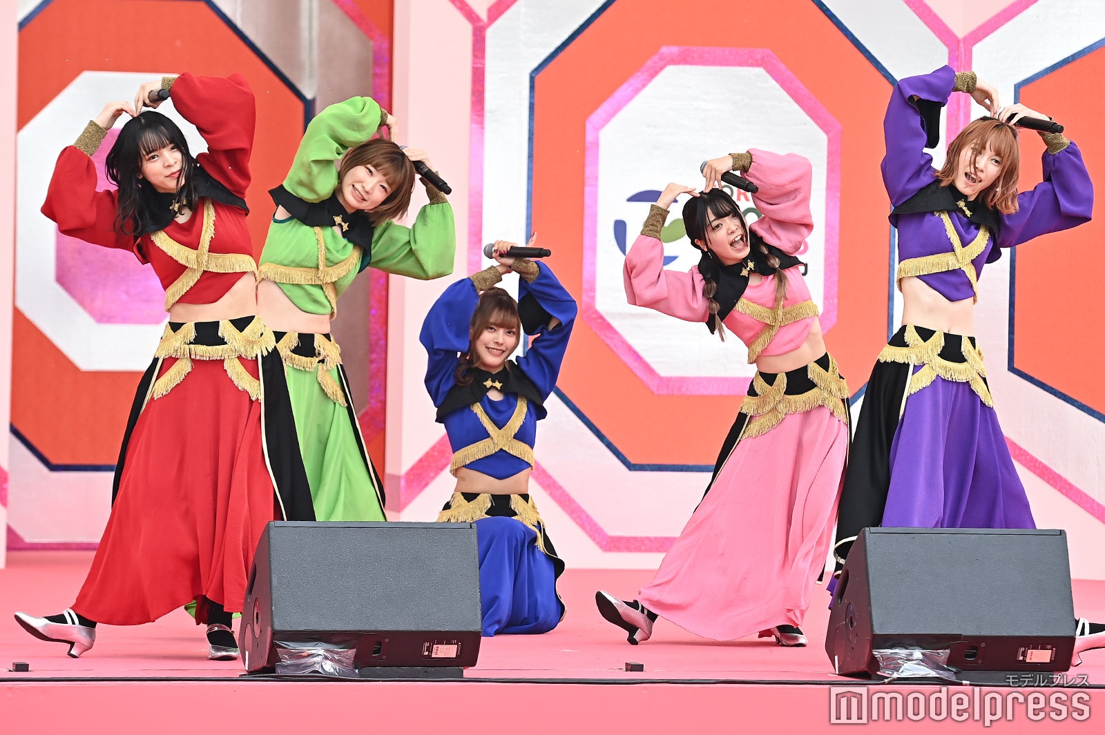 豆柴の大群（C）モデルプレス