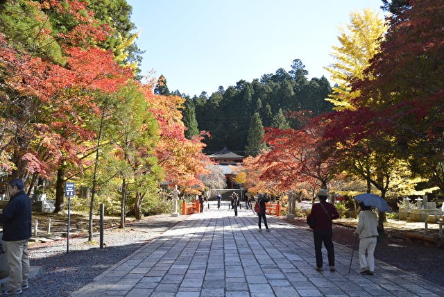 地元の人が教える“穴場”も♡