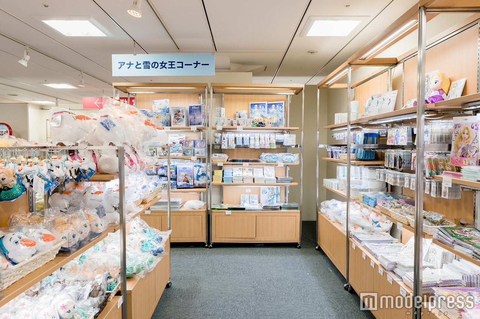 POWER OF PRINCESS「ディズニープリンセスとアナと雪の女王展」より（C）Disney