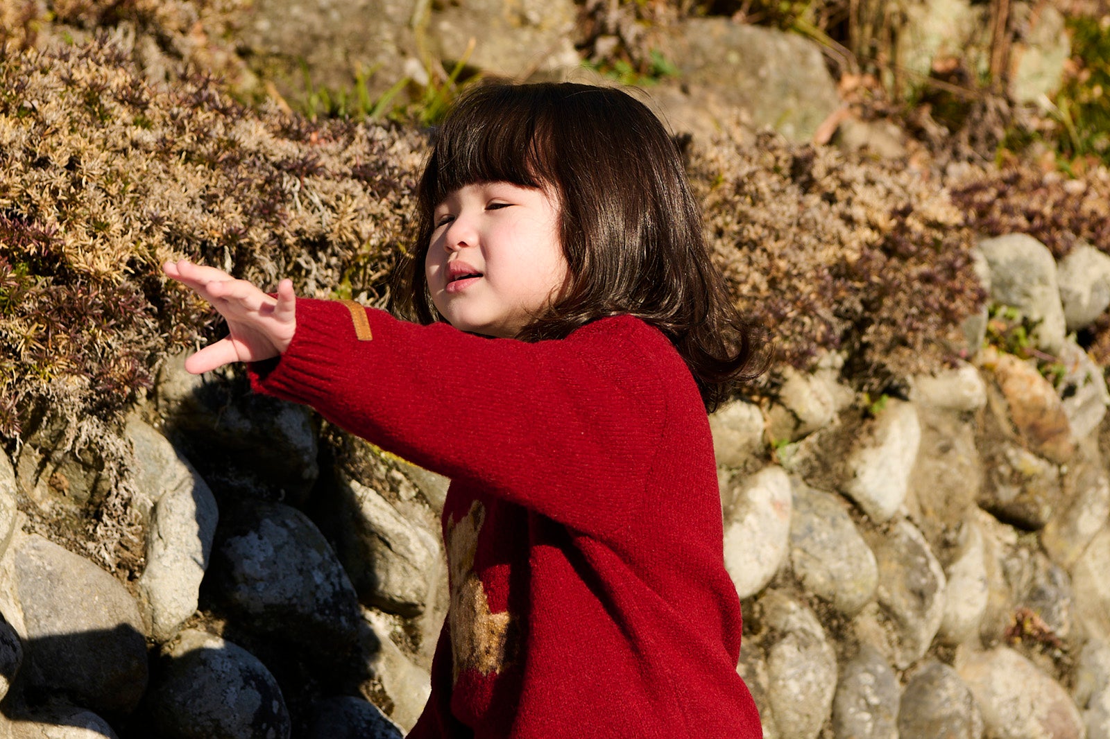 「御曹司に恋はムズすぎる」第7話（C）カンテレ