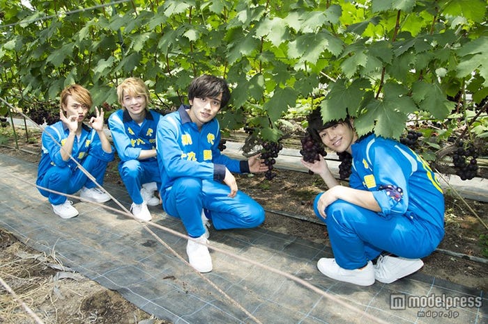 ブドウ狩りをするDISH//