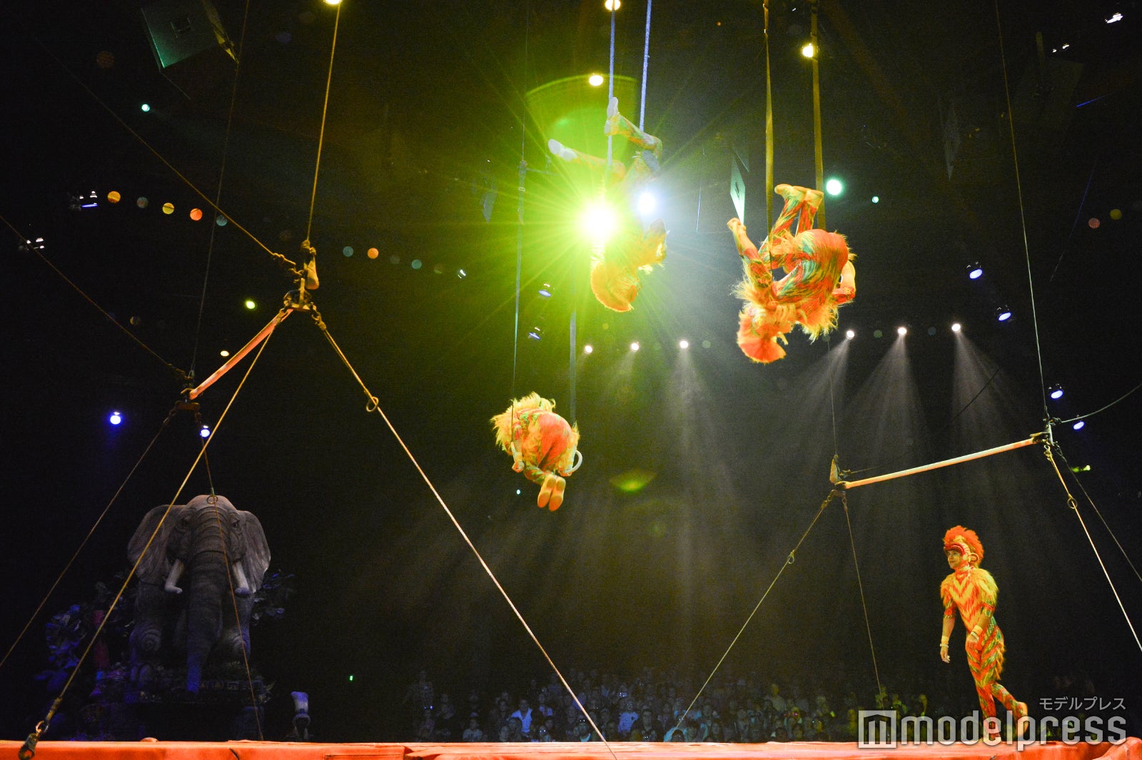 「フェスティバル・オブ･ザ・ライオン・キング」（C）モデルプレス（C）Disney