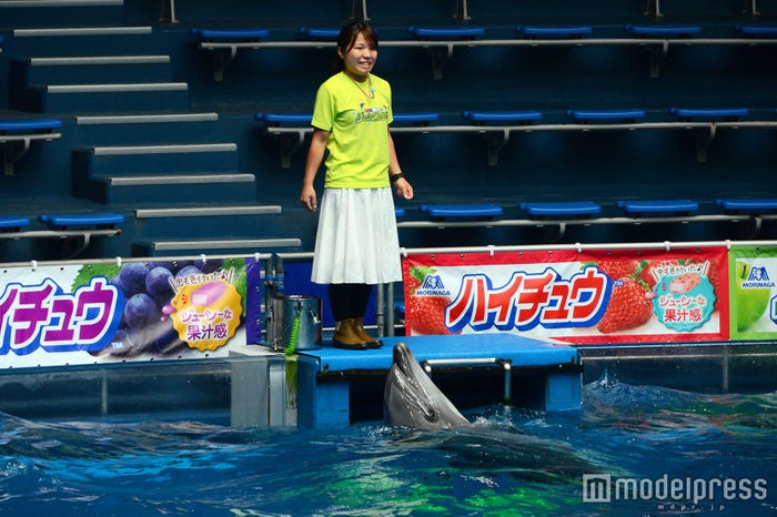 イルカ(C)モデルプレス