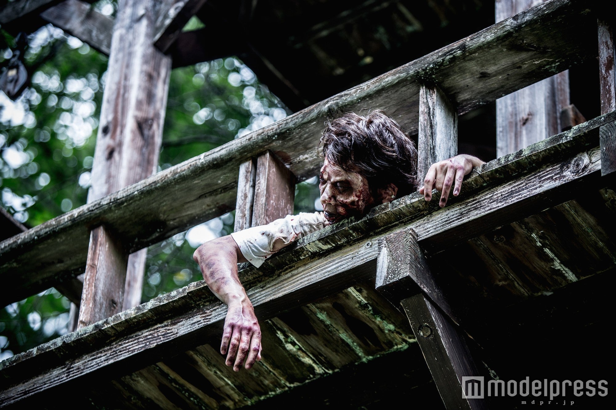 100体以上のゾンビから3時間逃げ切る／画像提供：ゾンビハザード2016実行委員会