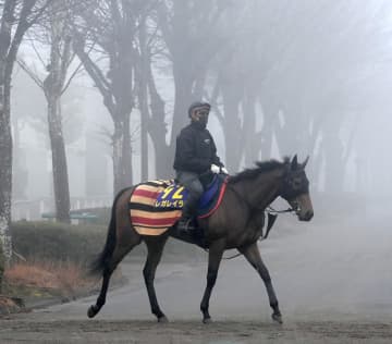 【有馬記念】結構当たる！？世相馬券 流行語、世相から導き出された軸馬はこの馬だ！