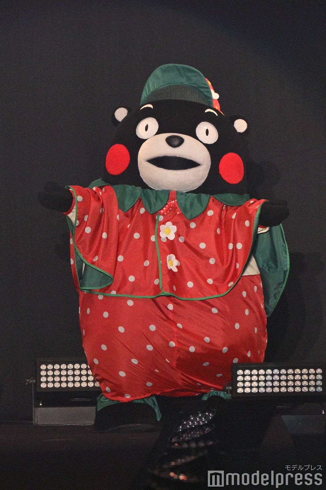 （C）モデルプレス