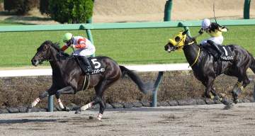 JRAがケンタッキーダービーの馬券発売決定 日本からはワンダーディーン＆ダノンバーボンが出走予定