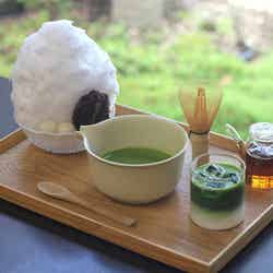 静岡抹茶づくし1,400円/提供画像