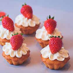 ストロベリーにメロメロ/提供画像