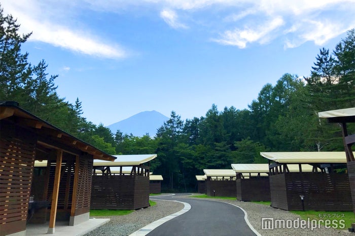 ピカフジヤマ（C）モデルプレス