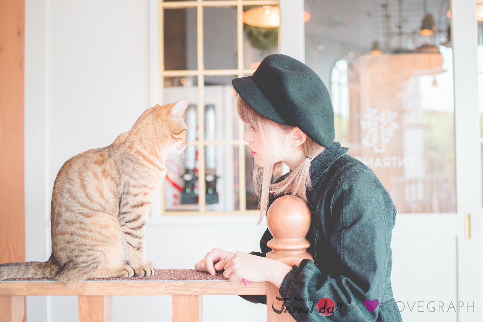 まずは猫とコミュニケーション（写真提供：MBS）