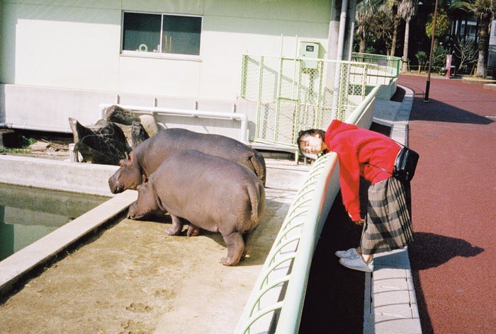 小島梨里杏1st写真集「半透明」(撮影/矢西誠二)
