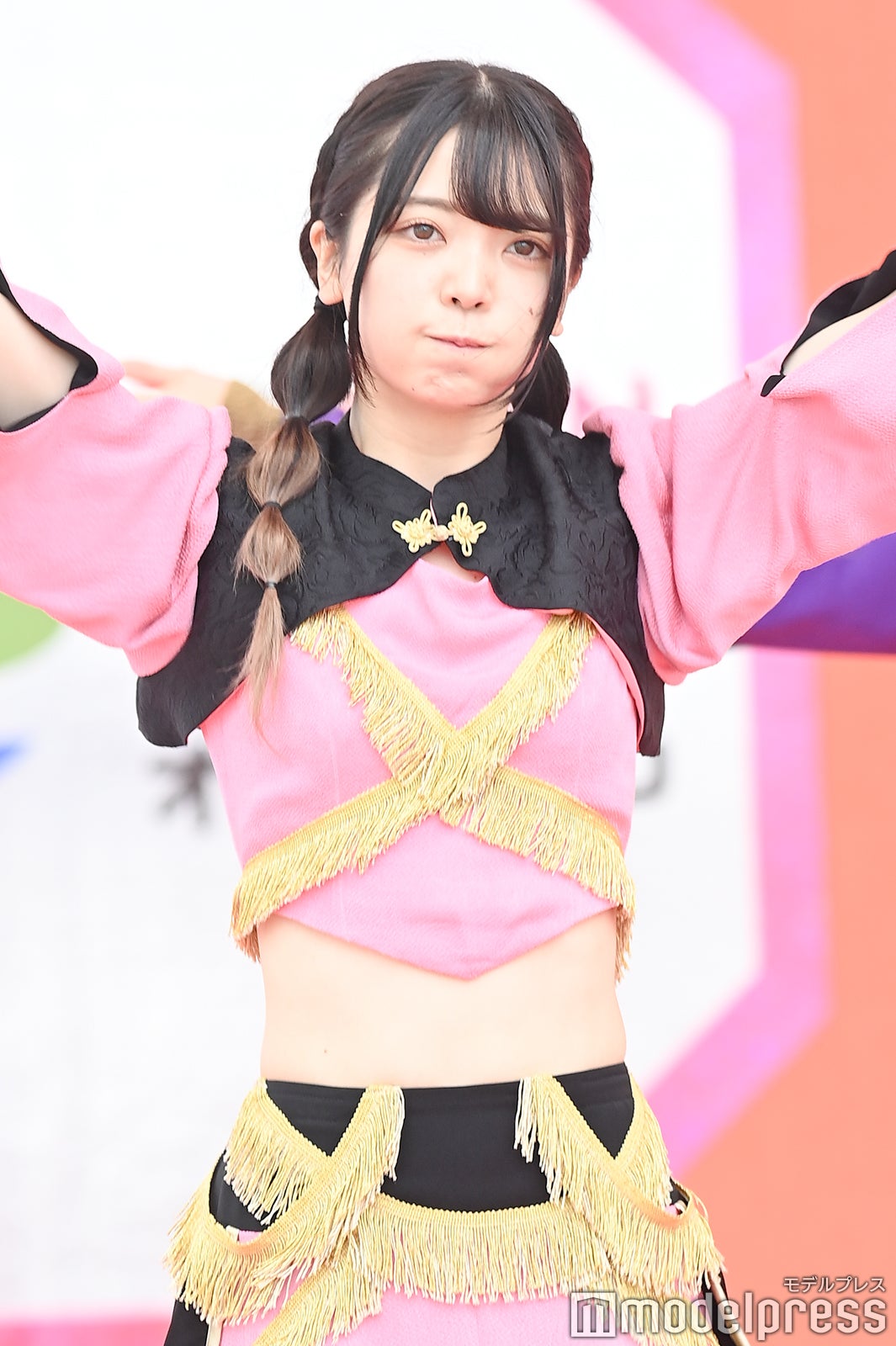 豆柴の大群（C）モデルプレス