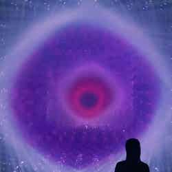 森ビル デジタルアート ミュージアム:エプソン チームラボボーダレス(C)チームラボ