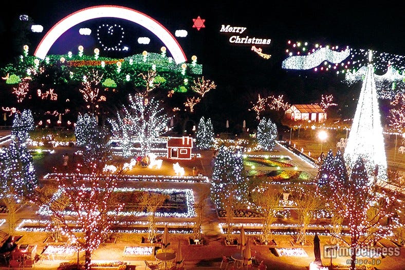 関東三大イルミネーション、今年は誰を誘う?