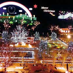 関東三大イルミネーション、今年は誰と見る?/あしかがフラワーパークのフラワーステージ/画像提供:足利フラワーリゾート【モデルプレス】