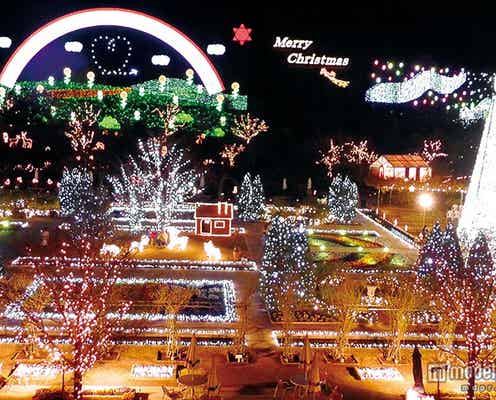 関東三大イルミネーション、今年は誰を誘う?