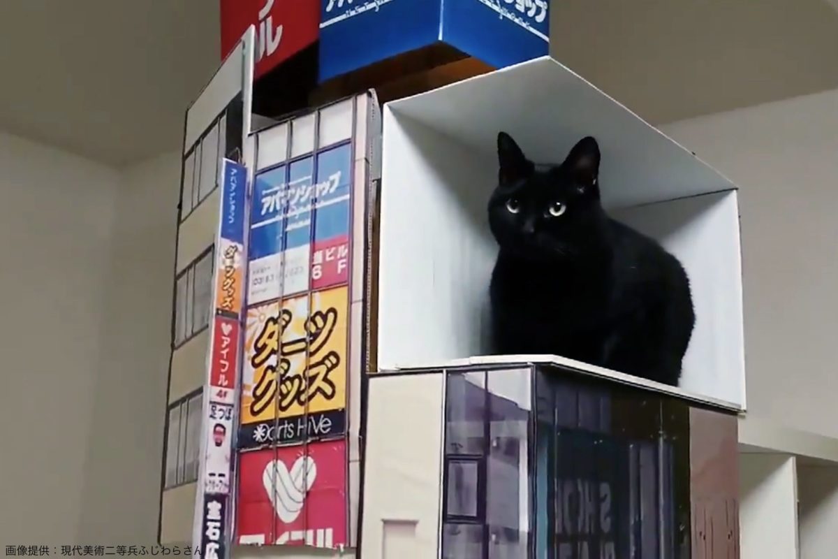 新宿で話題の 飛び出す3d猫 を自作 制作者は 2日間で完成させた モデルプレス