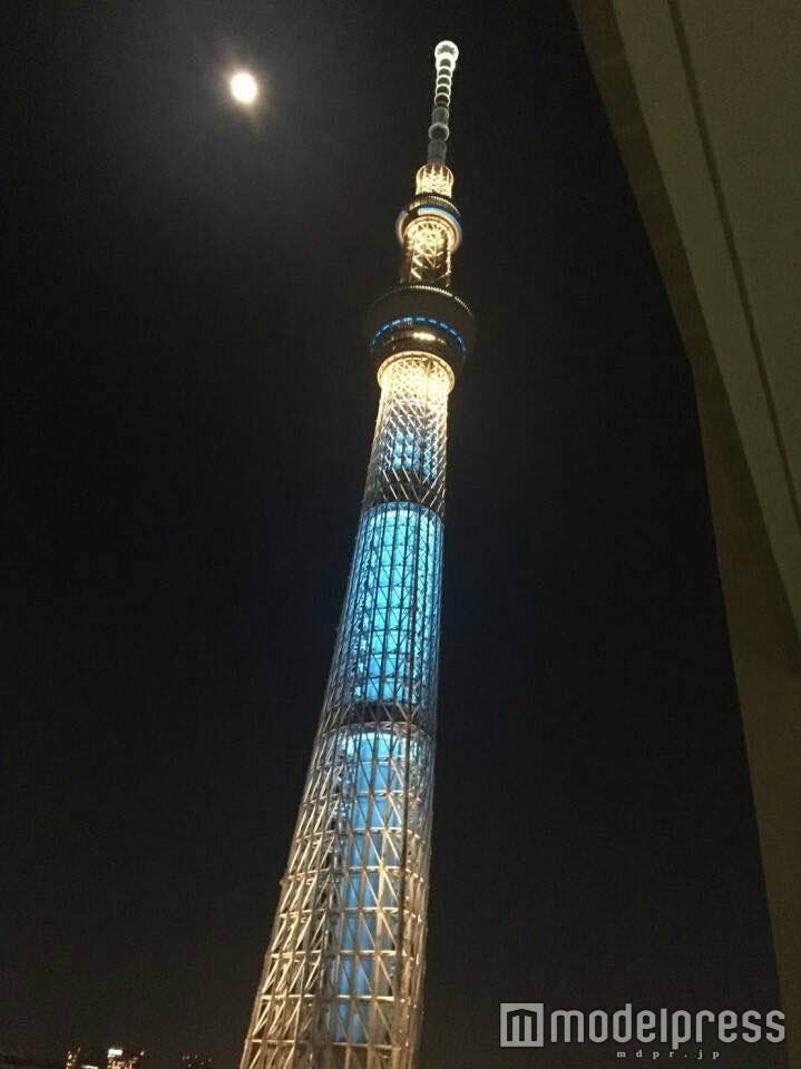 ライトアップも美しい(C)モデルプレス