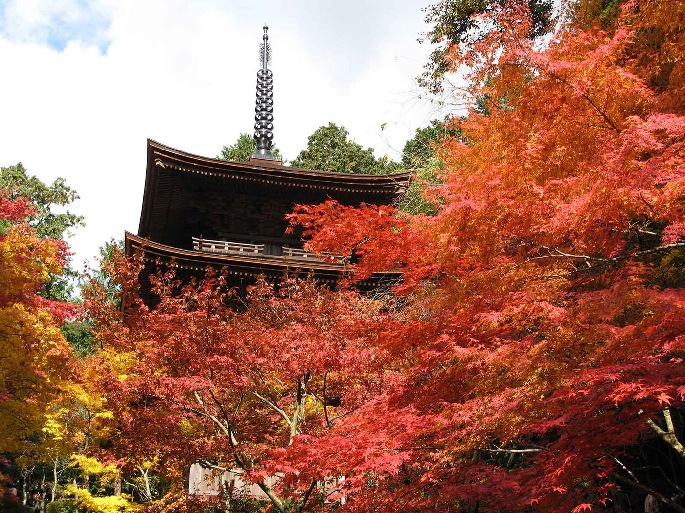 滋賀県で紅葉巡りを満喫！国宝や重要文化財が鮮やかに色づくおすすめスポット9選／画像提供：公益社団法人びわこビジターズビューロー