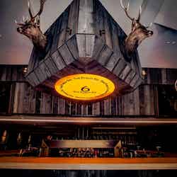 THE PUBLIC SIX/画像提供:DDホールディングス