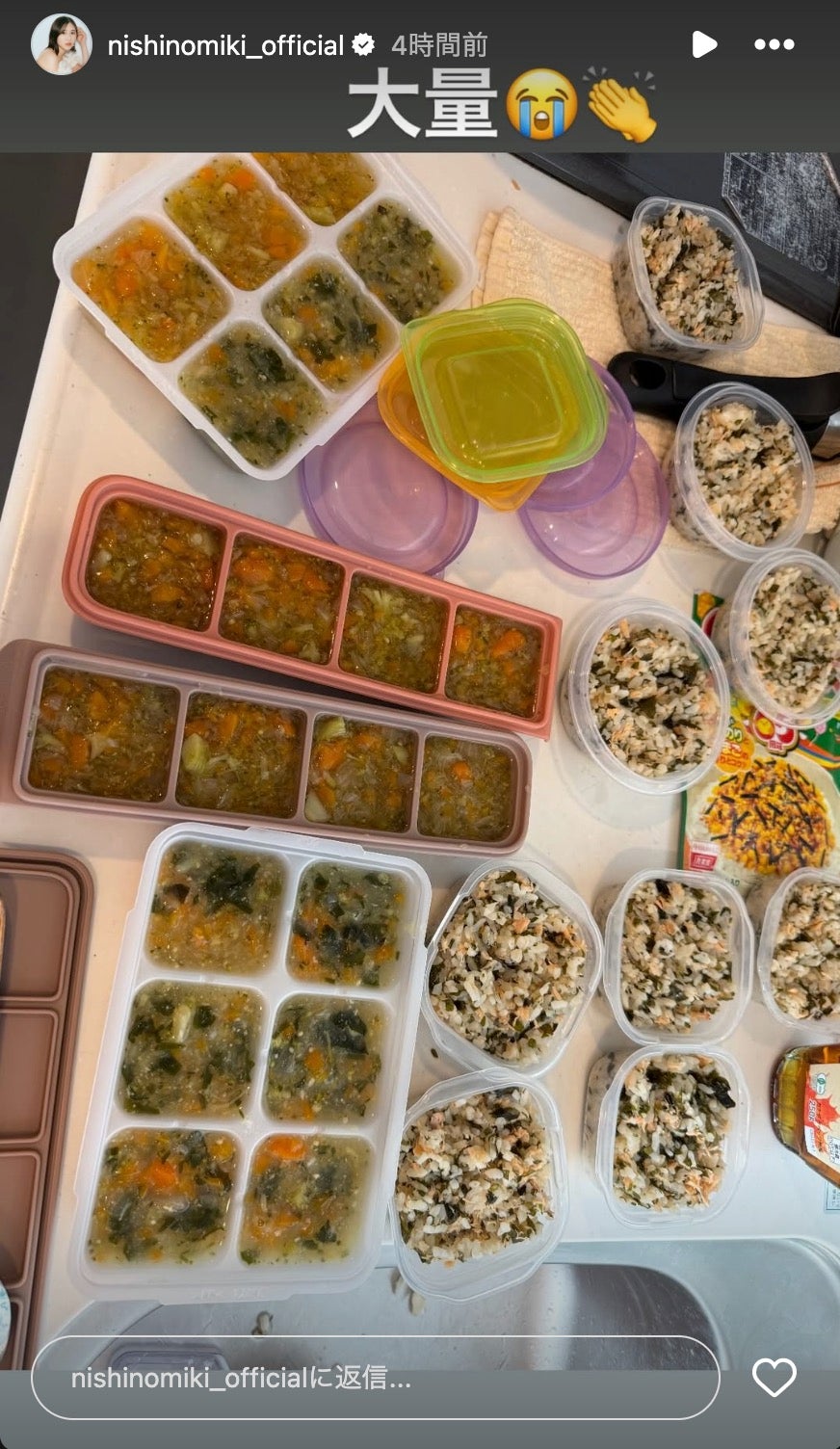 西野未姫Instagramストーリーズより