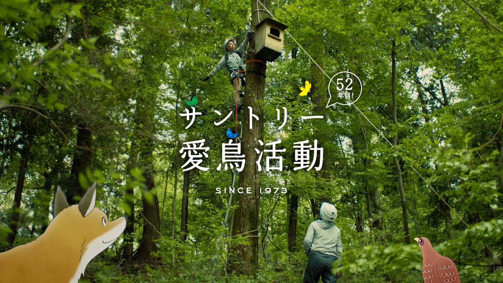 新CM「素晴らしい過去になろう 愛鳥活動 2024」篇より（提供写真）