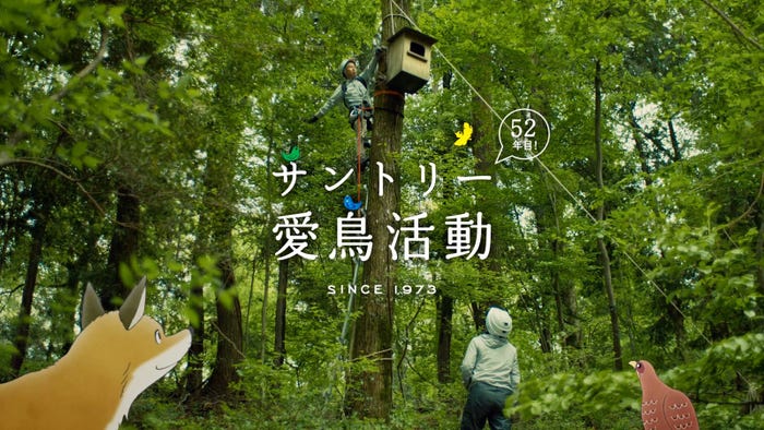 新CM「素晴らしい過去になろう 愛鳥活動 2024」篇より(提供写真)