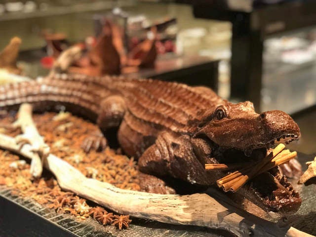 column_54b0986d32539ea6613bdf7dde7fa583.