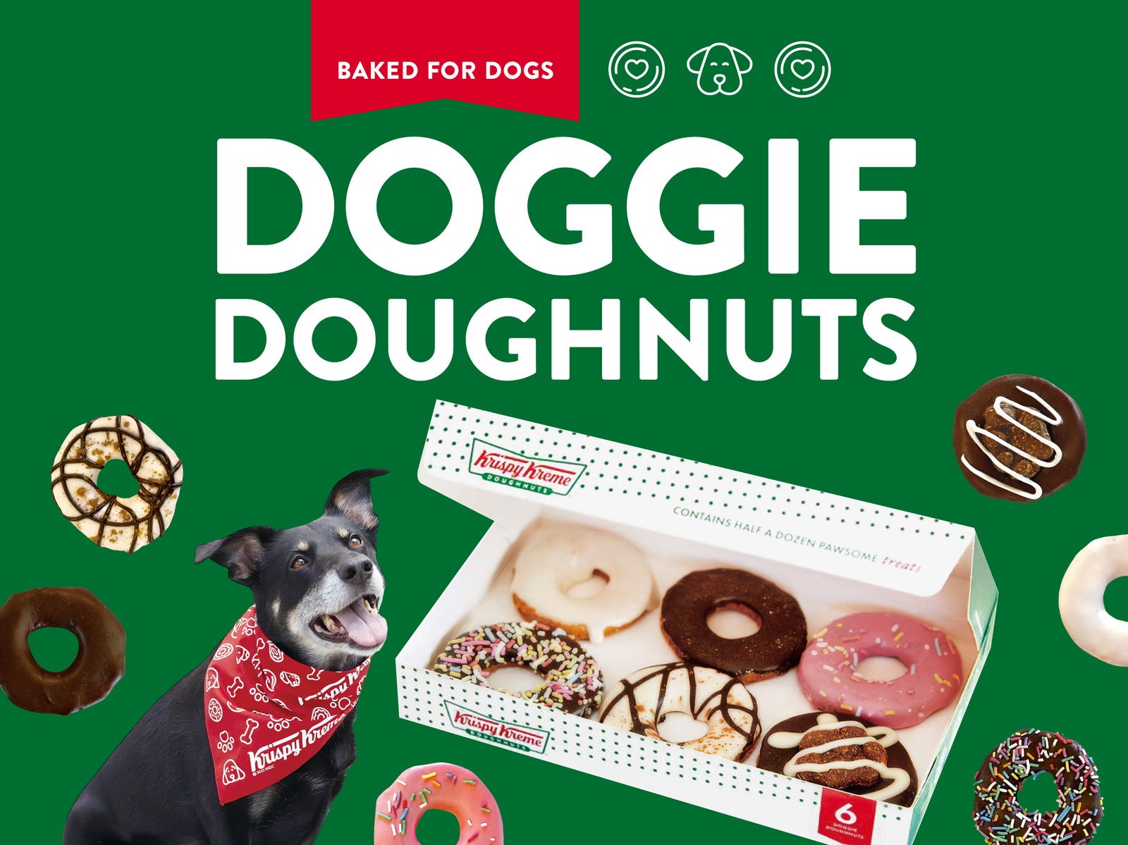 クリスピー・クリーム・ドーナツ、犬用ドーナツを初展開 本物そっくり＆噛みごたえのある6種類