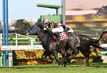 【スプリングS】アウダーシア 豪快一気レースレコードで重賞初制覇 「津村君のおかげですよ」手塚久師×津村また決めた