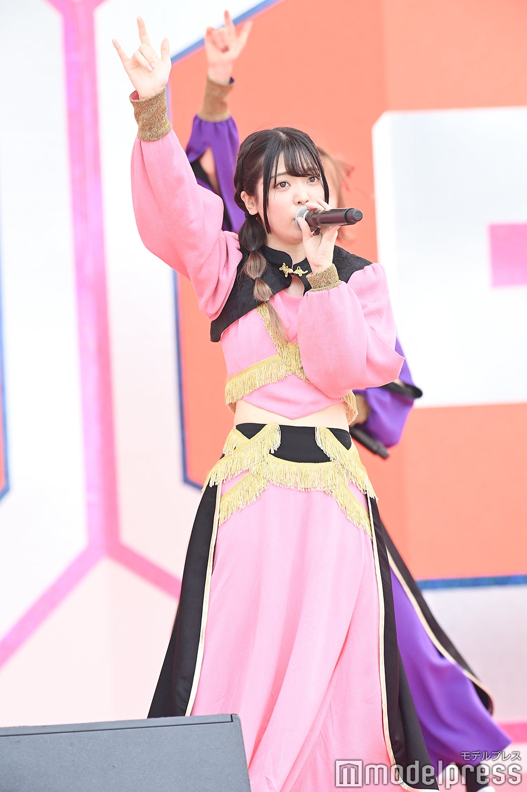 豆柴の大群（C）モデルプレス