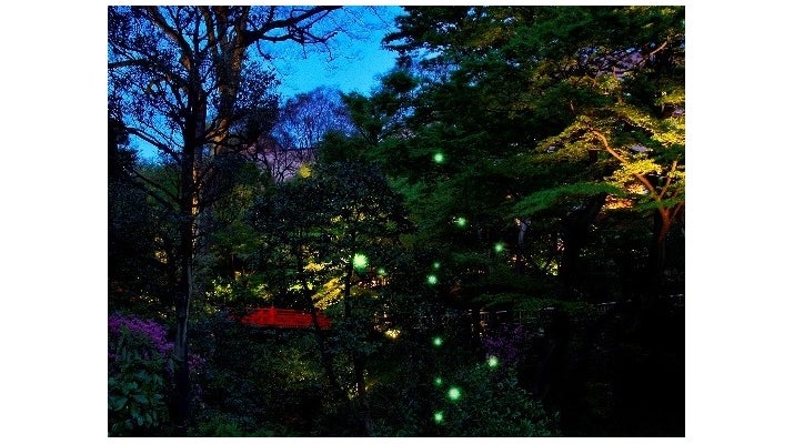 ホテル椿山荘東京／画像提供：藤田観光