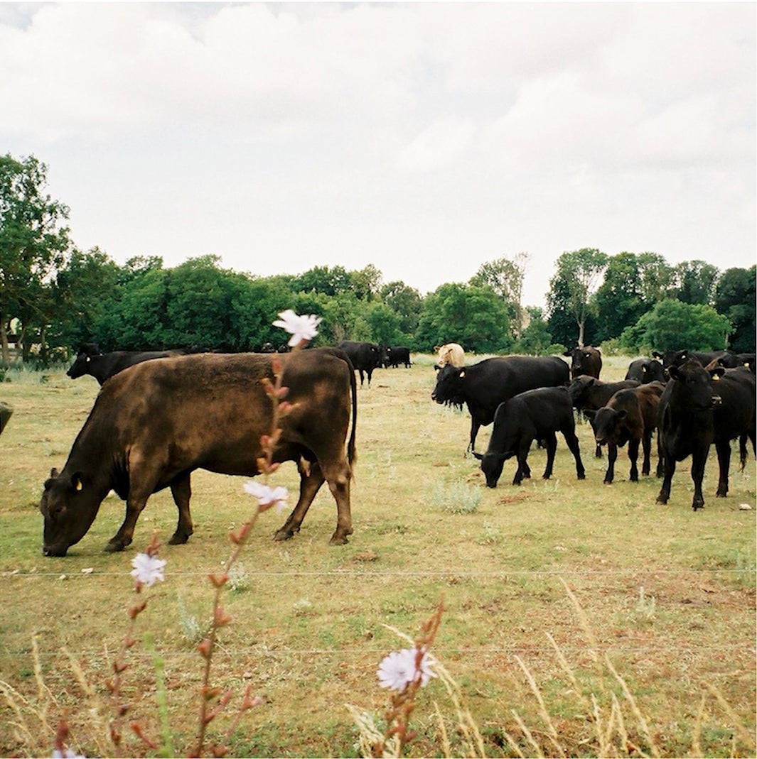 Dream Amiプライベートショットより（提供写真）