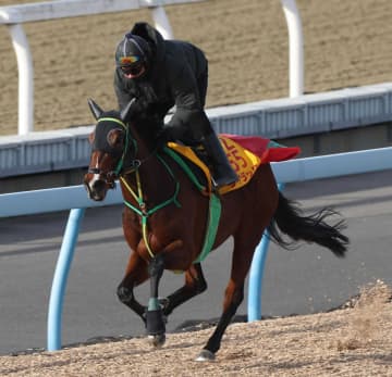 【日経新春杯】ライラック もうひと花咲かせてみせる 有馬除外のうっぷん晴らしへ 相沢師「何の問題もない。今回は何とか頑張ってほしい」