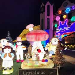 東京ドイツ村ウインターイルミネーション(提供写真)