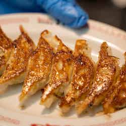 クラフト餃子フェス TOKYO 2022/画像提供:LAF Entertainment