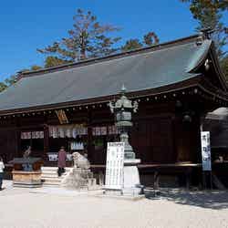 伊弉諾神宮/Izanagi Shirne(伊弉諾神宮)by Stephen Wheeler