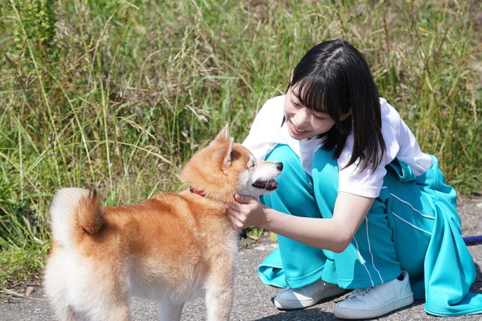 (右)森川葵/「ナンバMG5」特別編より(C)フジテレビ