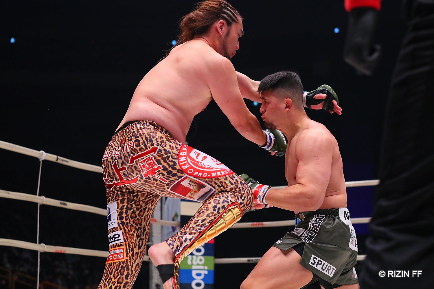 シバターVSHIROYA（C）RIZIN FF