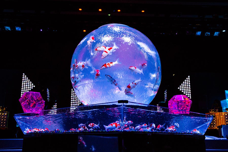 日本橋ナイトアクアリウム6